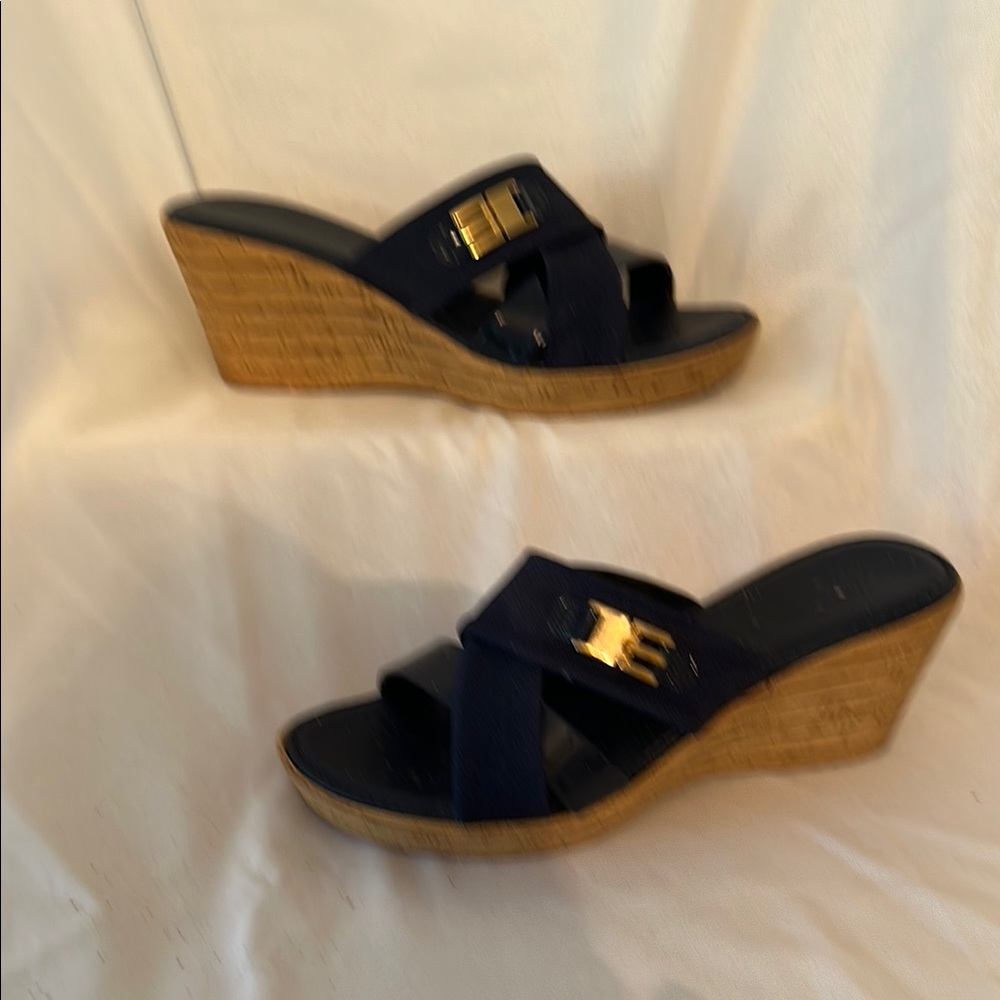 Italian Shoemakers Navy Blue Wedge Sandals
